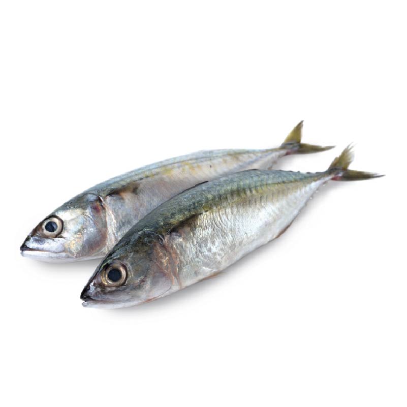 Meat & Fish :: Fish :: Mackerel Fish (Per kg)