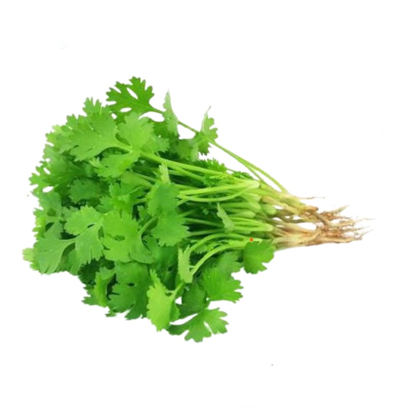 Buy Vegetable Coriander (????? ????) Online at Best Price