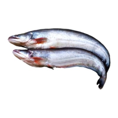 BOAL FISH 0.9 KG (50GM±) PER PIECES BEFORE CUTTING