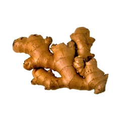 DAILY SHOPPING GINGER LOCAL