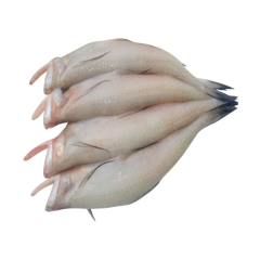 LOITTA FISH 1KG