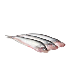 PABDA FISH 20-30PCS/KG