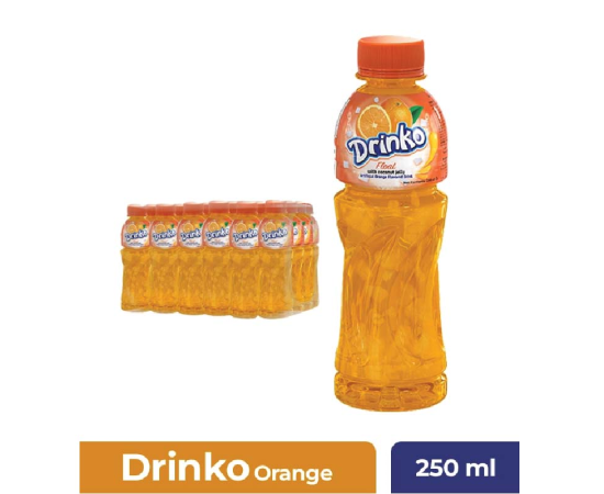 DRINKO FLOAT-250ML (MANGO)