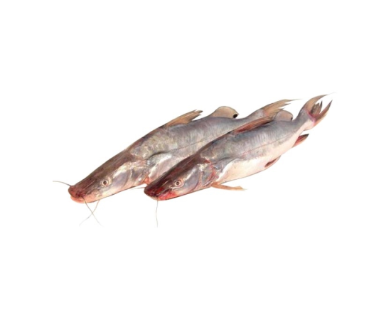 AAIR FISH 1.75 KG (50GMÂ±) PER PIECES BEFORE CUTTING
