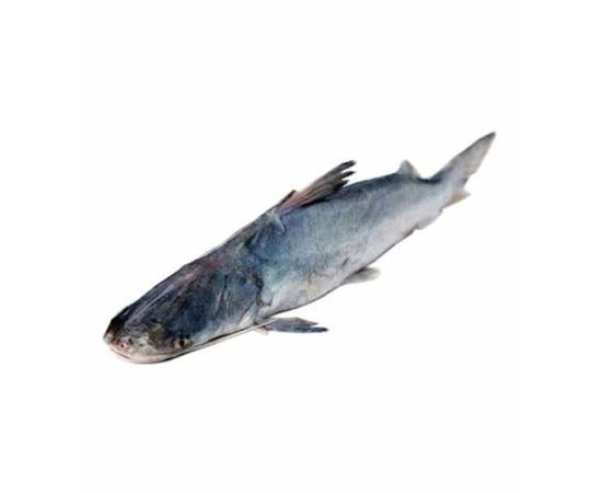 AAIR FISH 1.4 KG (50GMÂ±) PER PIECES BEFORE CUTTING