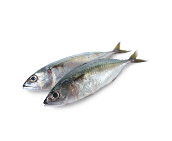 MACKEREL FISH (PER KG)