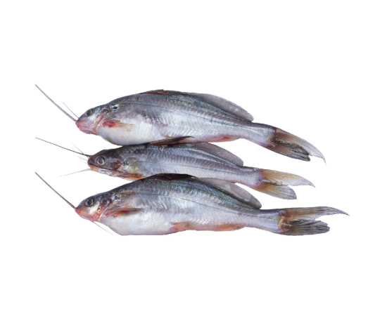 GULSHA FISH 30-40PCS/KG