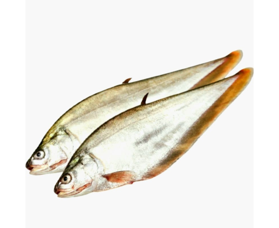 PHOLY FISH 7-10PCS/KG.